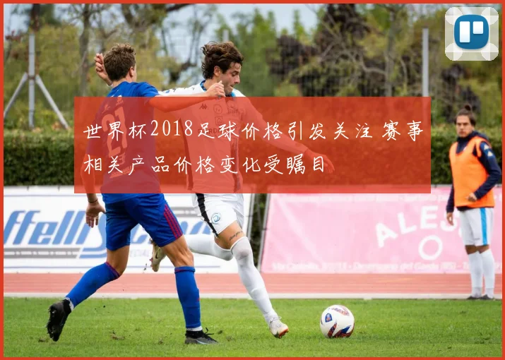 世界杯2018足球价格引发关注 赛事相关产品价格变化受瞩目