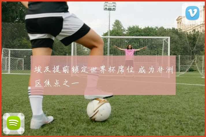 埃及提前锁定世界杯席位 成为非洲区焦点之一