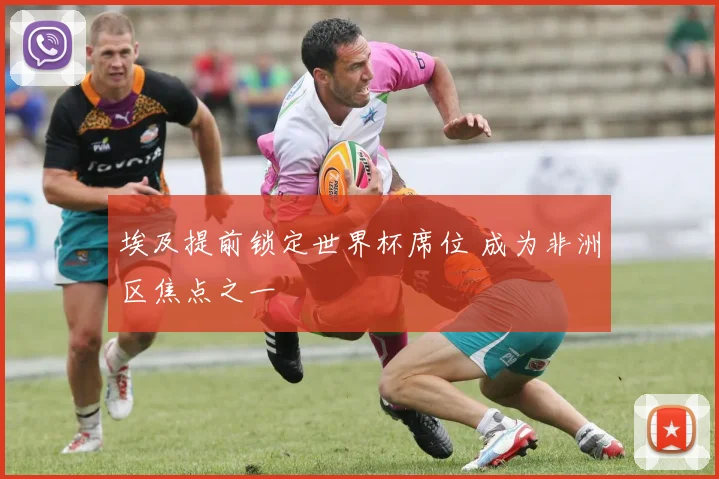 埃及提前锁定世界杯席位 成为非洲区焦点之一