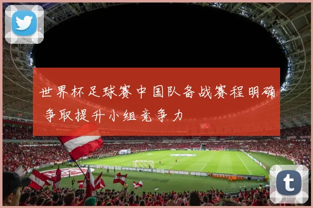 世界杯足球赛中国队备战赛程明确 争取提升小组竞争力