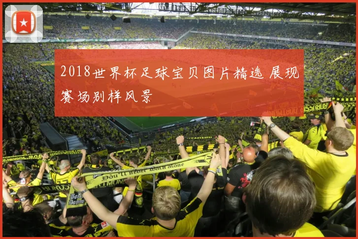 2018世界杯足球宝贝图片精选 展现赛场别样风景