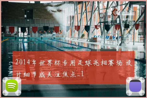 2014年世界杯专用足球亮相赛场 设计细节成关注焦点_1