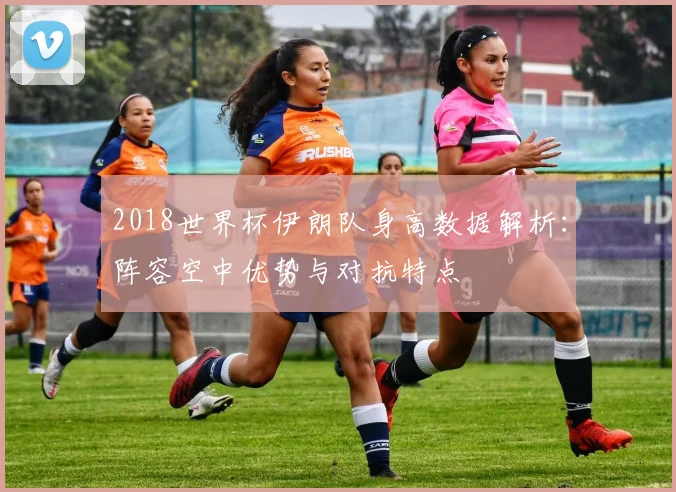 2018世界杯伊朗队身高数据解析：阵容空中优势与对抗特点