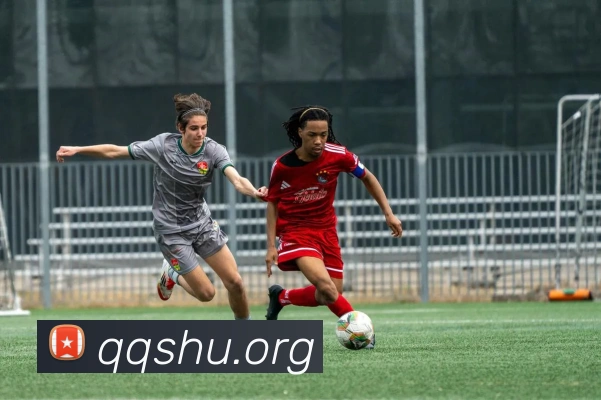 世界杯开户平台平台生态图